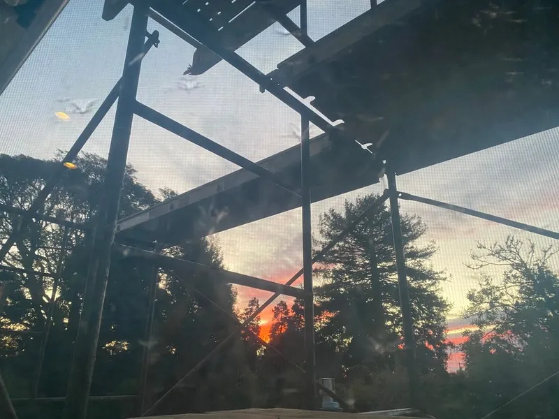 Stock image of scaffolding on a construction site with setting sun and trees in the background